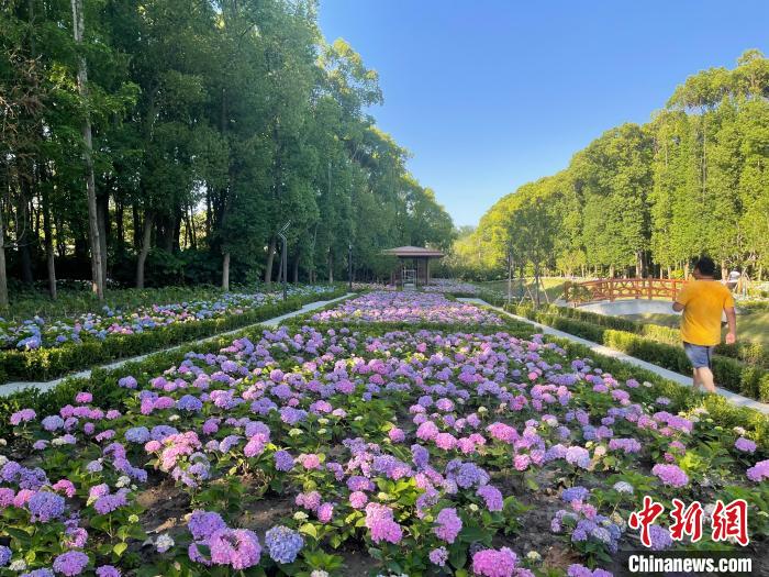 納民意、匯民智上海努力讓“公園城市”建設(shè)真正“合民心”