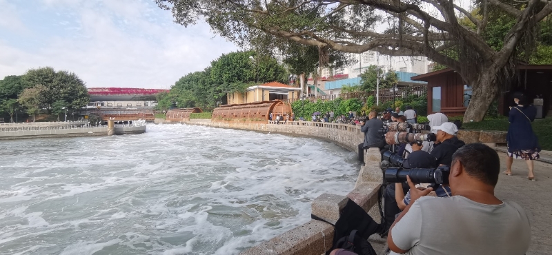 筼筜湖畔，許多攝影愛好者在拍攝白鷺。廈門市觀鳥協(xié)會(huì)彭志偉供圖