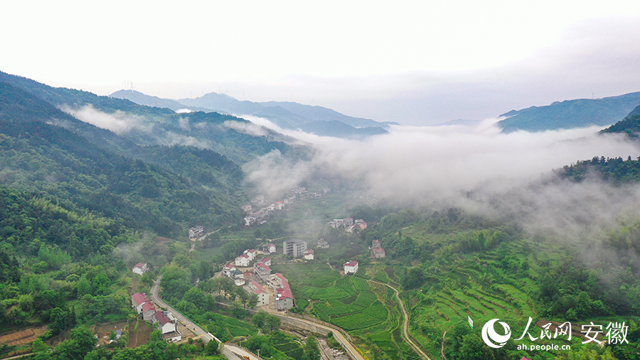 雨后的金寨大灣村，云霧環(huán)繞，宛如一幅田園山水畫卷。人民網(wǎng) 張俊攝