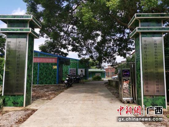 圖為平馬社區(qū)竹鼠養(yǎng)殖基地。