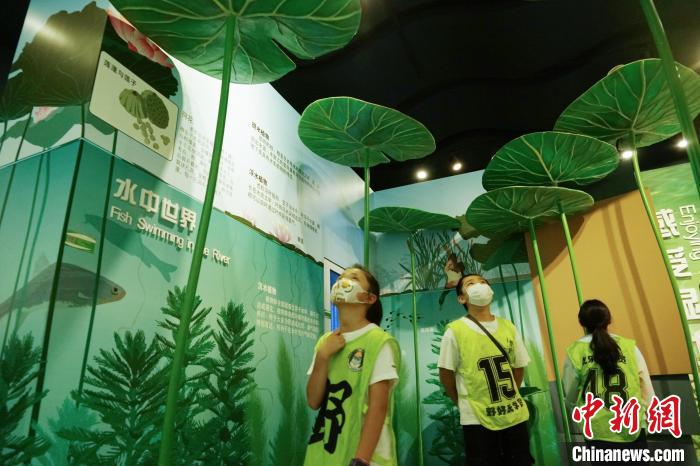 圖為小朋友在青海西寧湟水國家濕地公園科普館內(nèi)參觀學習?！●R銘言 攝