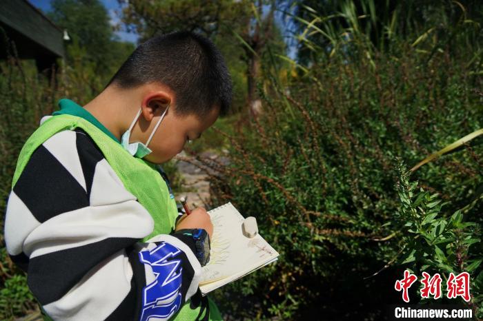 圖為小朋友在青海西寧湟水國家濕地公園內(nèi)認識植物并進行繪畫?！●R銘言 攝