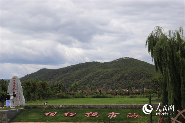 麗江市拉市海景區(qū)。 人民網(wǎng)記者 程浩攝