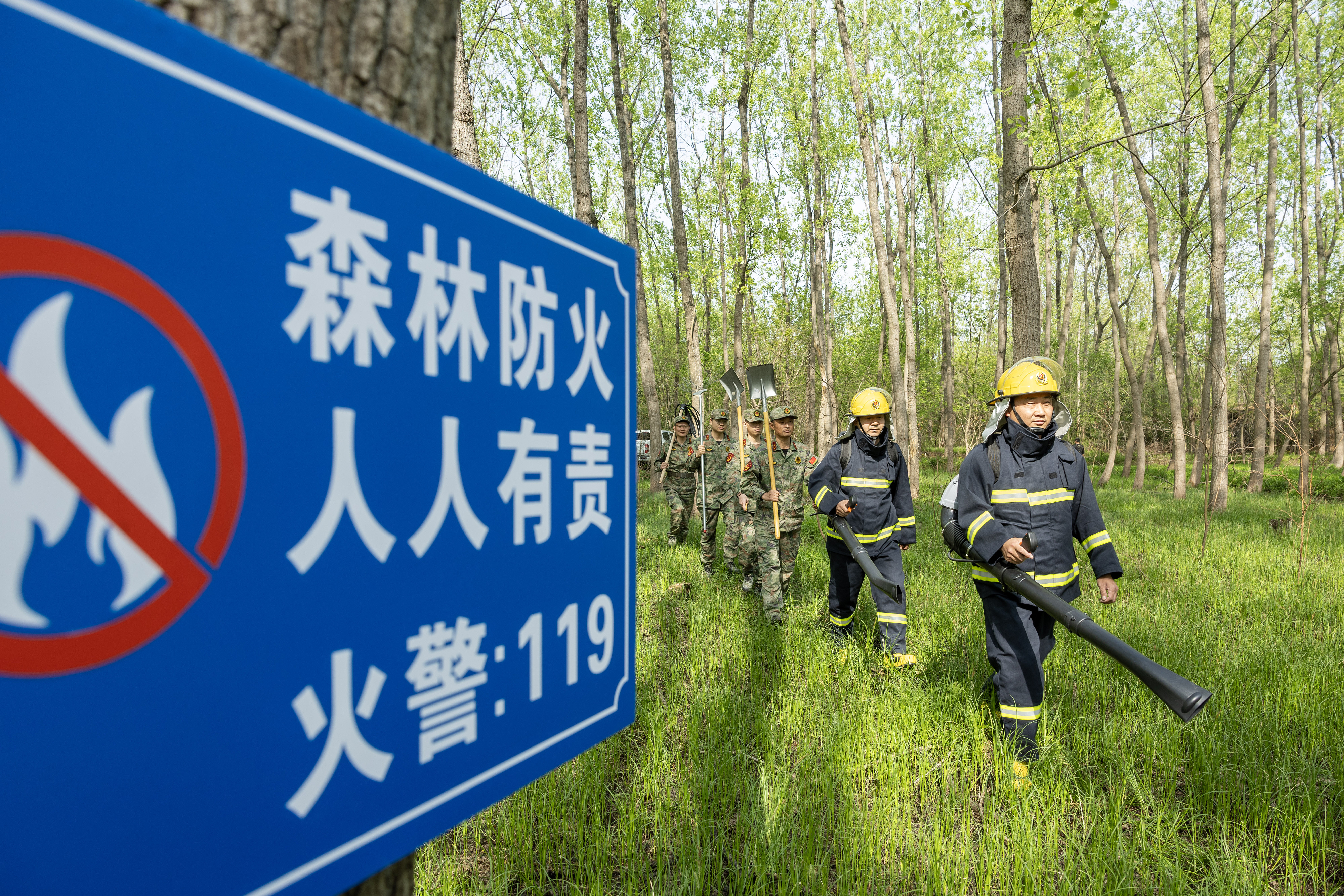 2024年4月9日，合肥市大房郢水庫水源保護地廬陽經(jīng)濟開發(fā)區(qū)段，基干民兵正在林間巡查火災隱患。