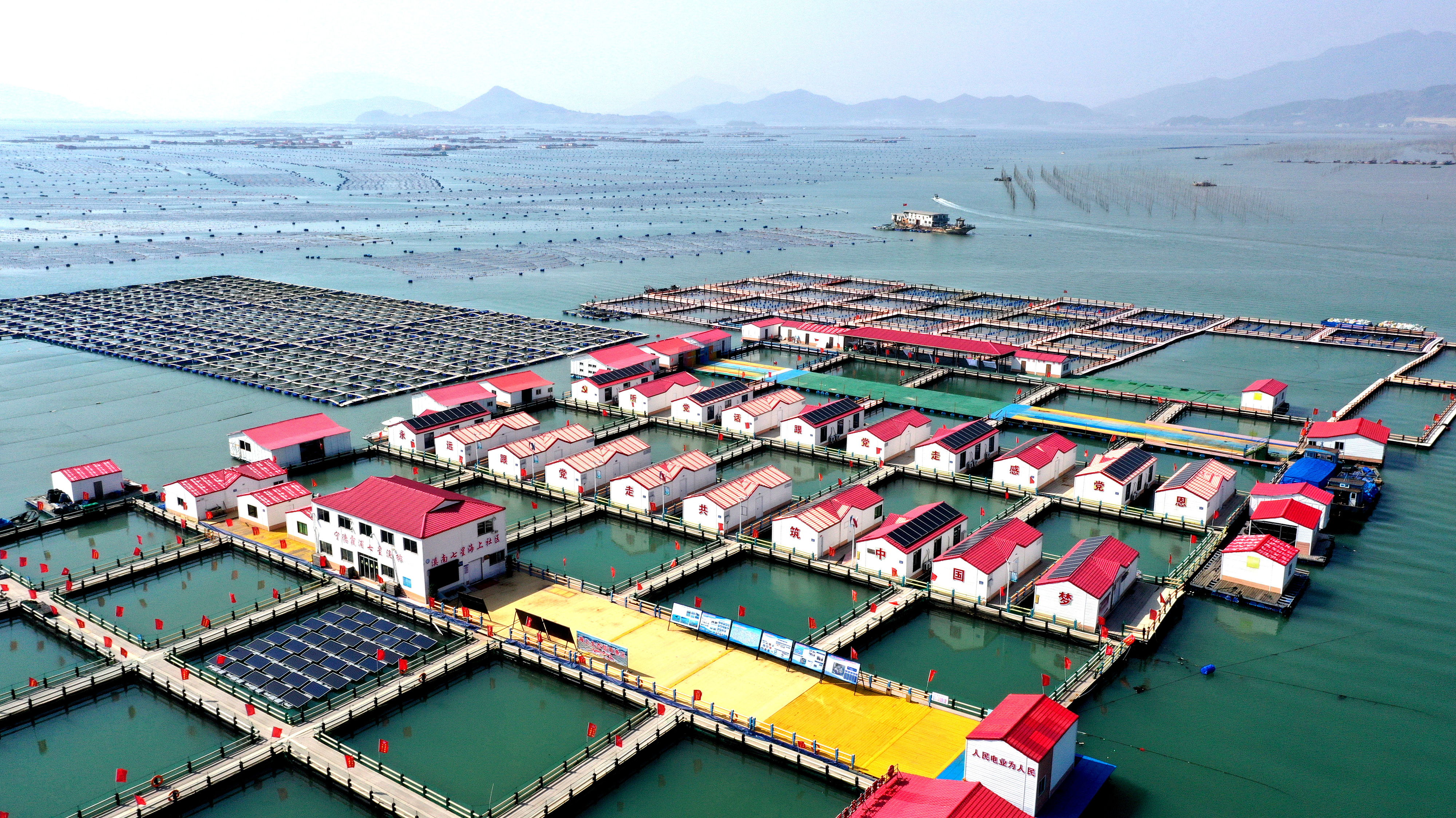 2024年3月20日，福建省寧德市，霞浦縣溪南鎮(zhèn)七星村漁排養(yǎng)殖示范區(qū)，漁民駕駛養(yǎng)殖船進(jìn)行海參養(yǎng)殖作業(yè)。