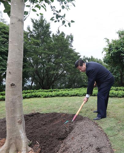 2012年12月7日至11日，習(xí)近平在廣東省考察工作。這是8日上午，習(xí)近平在深圳蓮花山公園種下一棵高山榕樹。新華社記者 蘭紅光 攝