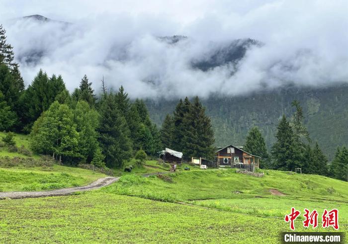 6月10日，魯朗小鎮(zhèn)高山牧場景區(qū)風光?！∪轿木?攝