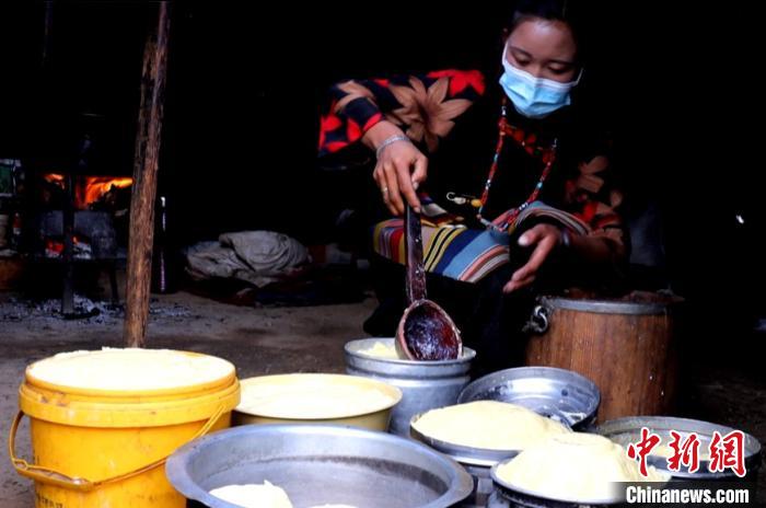 圖為牧民正在制作酥油?！∪湛t文聯(lián)供圖