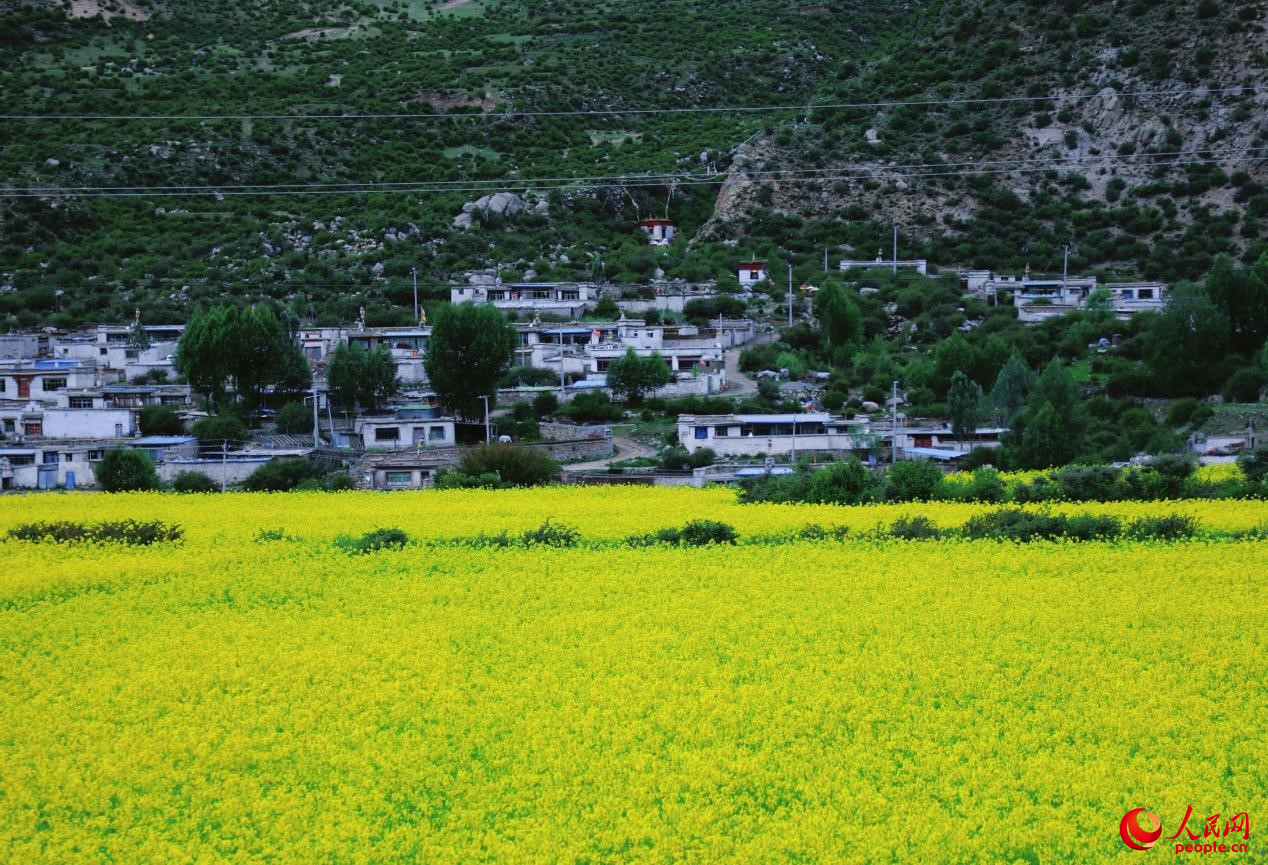 鄉(xiāng)村振興美好畫(huà)卷。人民網(wǎng) 李海霞攝